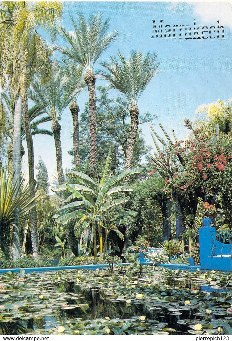 Marrakech - Les Jardins De Majorelle - Marrakech