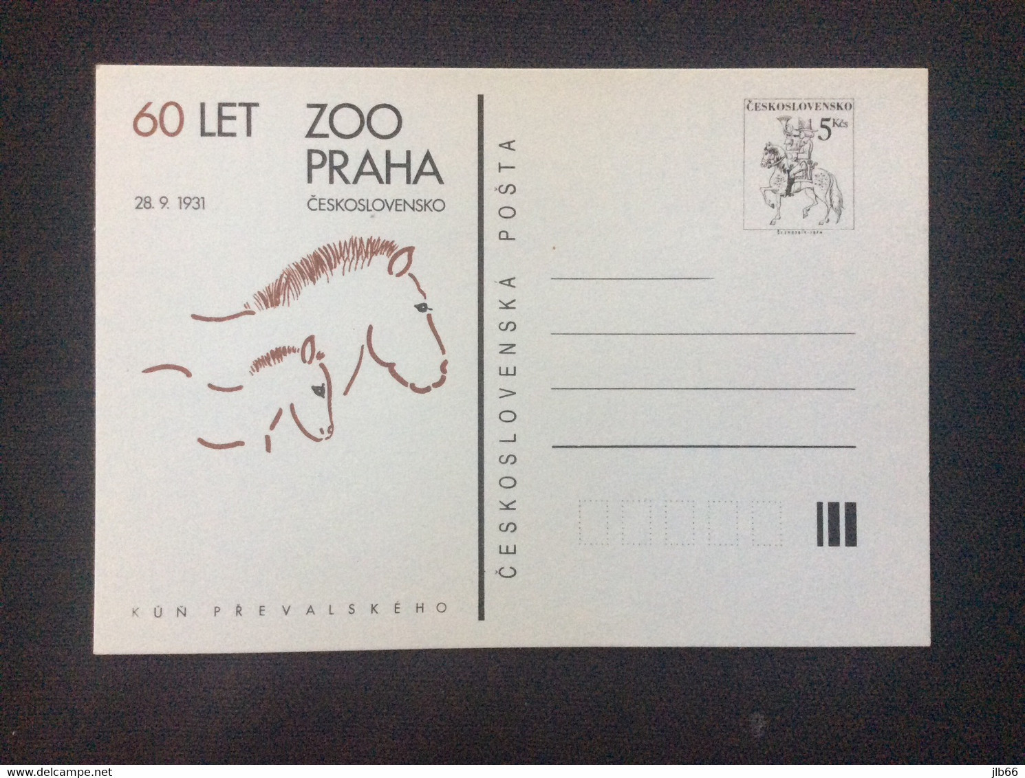 CDV 235 1991 60 Ans Du Zoo De Prague Cheval Sauvage Et Poulain - Postcards