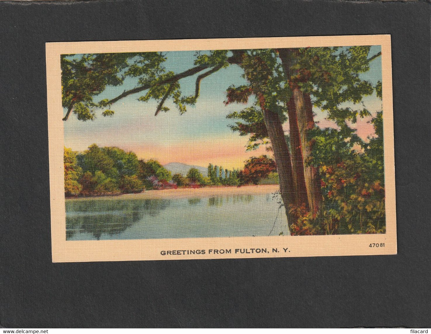 111927        Stati  Uniti,  Greetings  From  Fulton,  N. Y.,  NV - Parks & Gardens