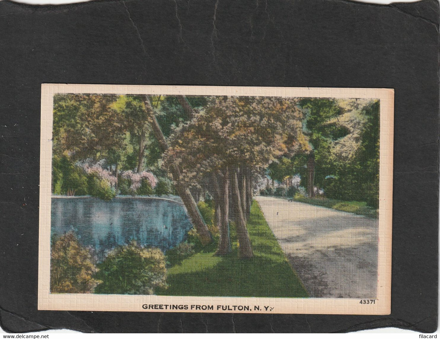 111948        Stati  Uniti,   Greetings  From  Fulton,  N. Y.,  NV(scritta) - Parcs & Jardins