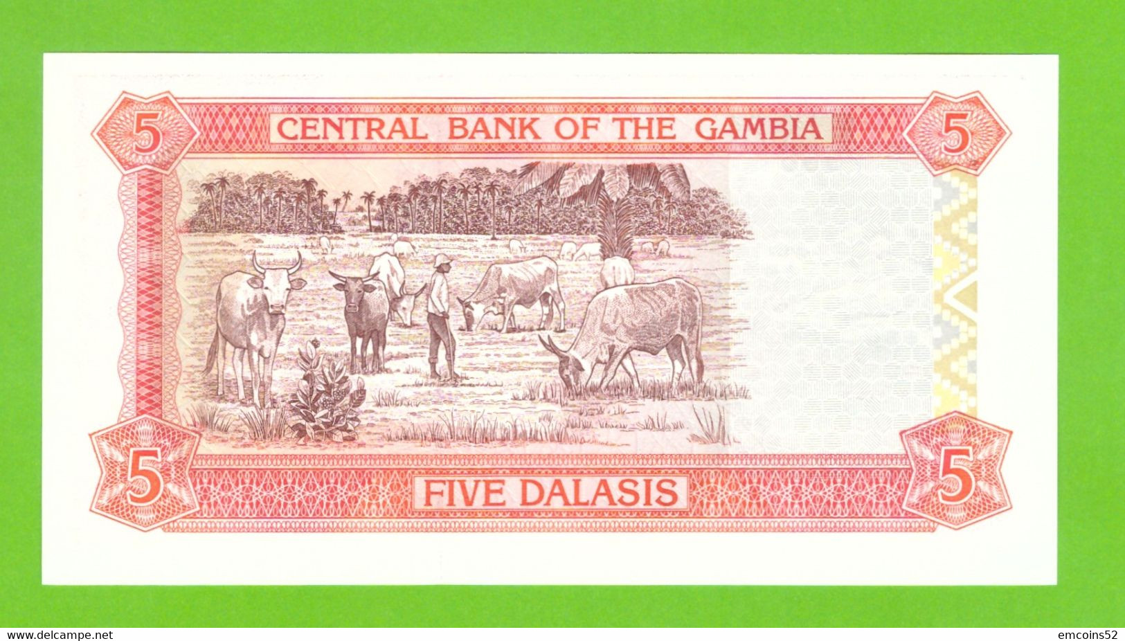 GAMBIA 5 DALASIS 1996  P-16 UNC - Gambie