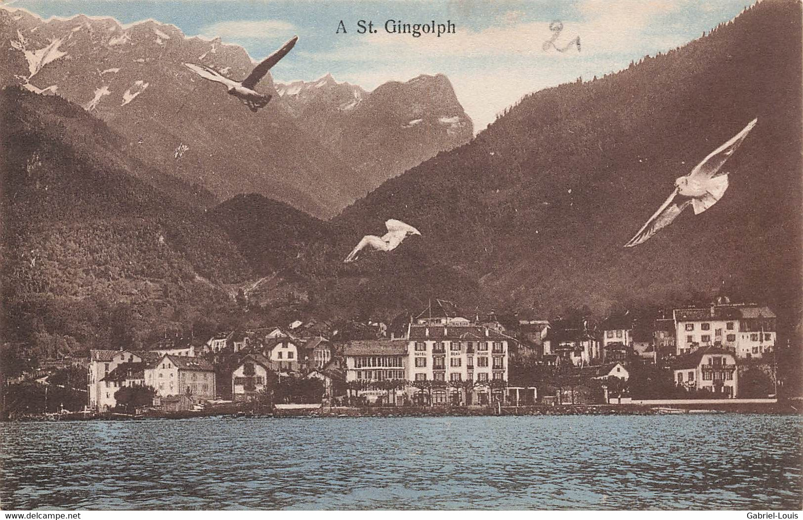 A St. Gingolph Mouettes - Saint-Gingolph