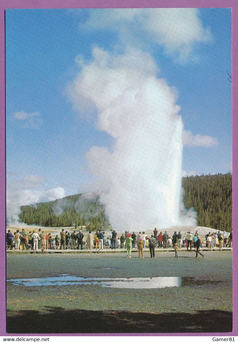 OLD FAITHFUL GEYSER - In Yellowstone National Park - Yellowstone