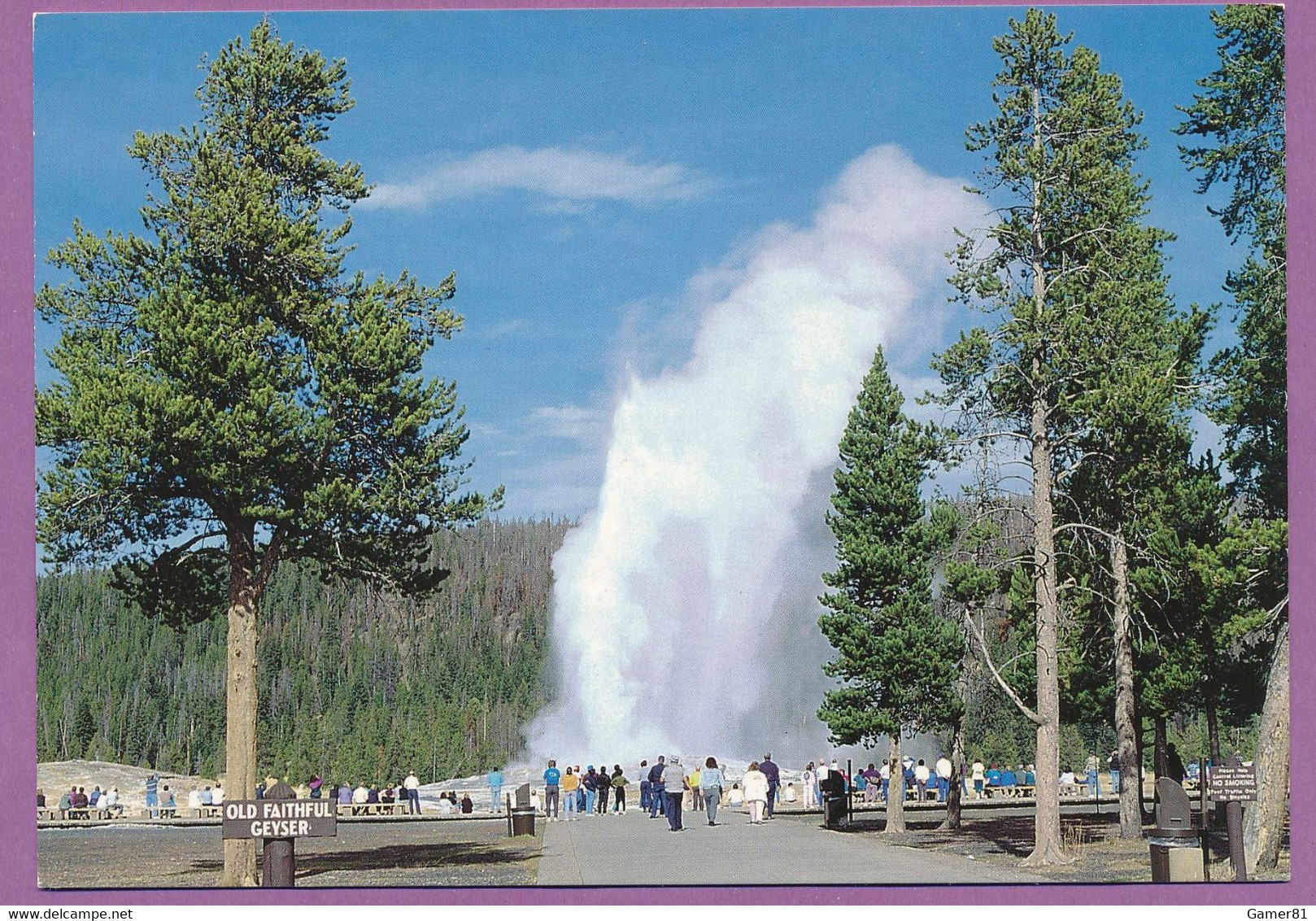 OLD FAITHFUL GEYSER - Yellowstone National Park - Yellowstone