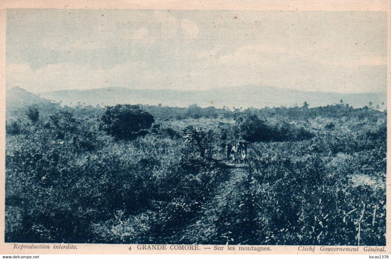 GRANDE COMORE / SUR LES MONTAGNES - Komoren