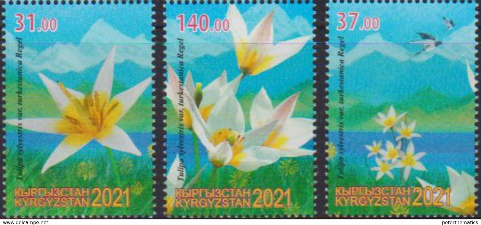 KYRGYZSTAN, 2021, MNH,FLORA, FLOWERS, BIRDS,  MOUNTAINS, 3v - Sonstige & Ohne Zuordnung