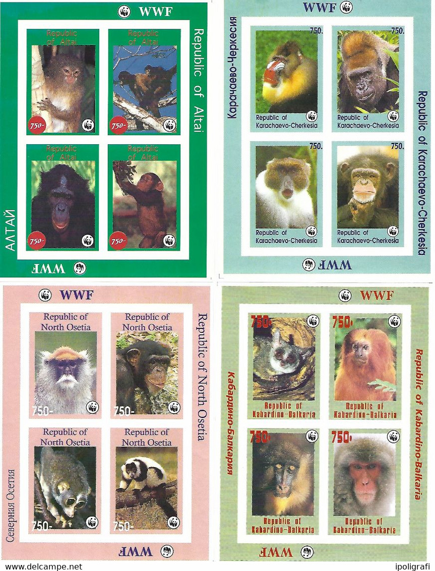 WWF  Scimmie, Repubbliche TranscaucasicheAltaj, Karachaevo, Nord Ossetia E Kabardino 4  Blocchi ND  Mnh - Caucasia