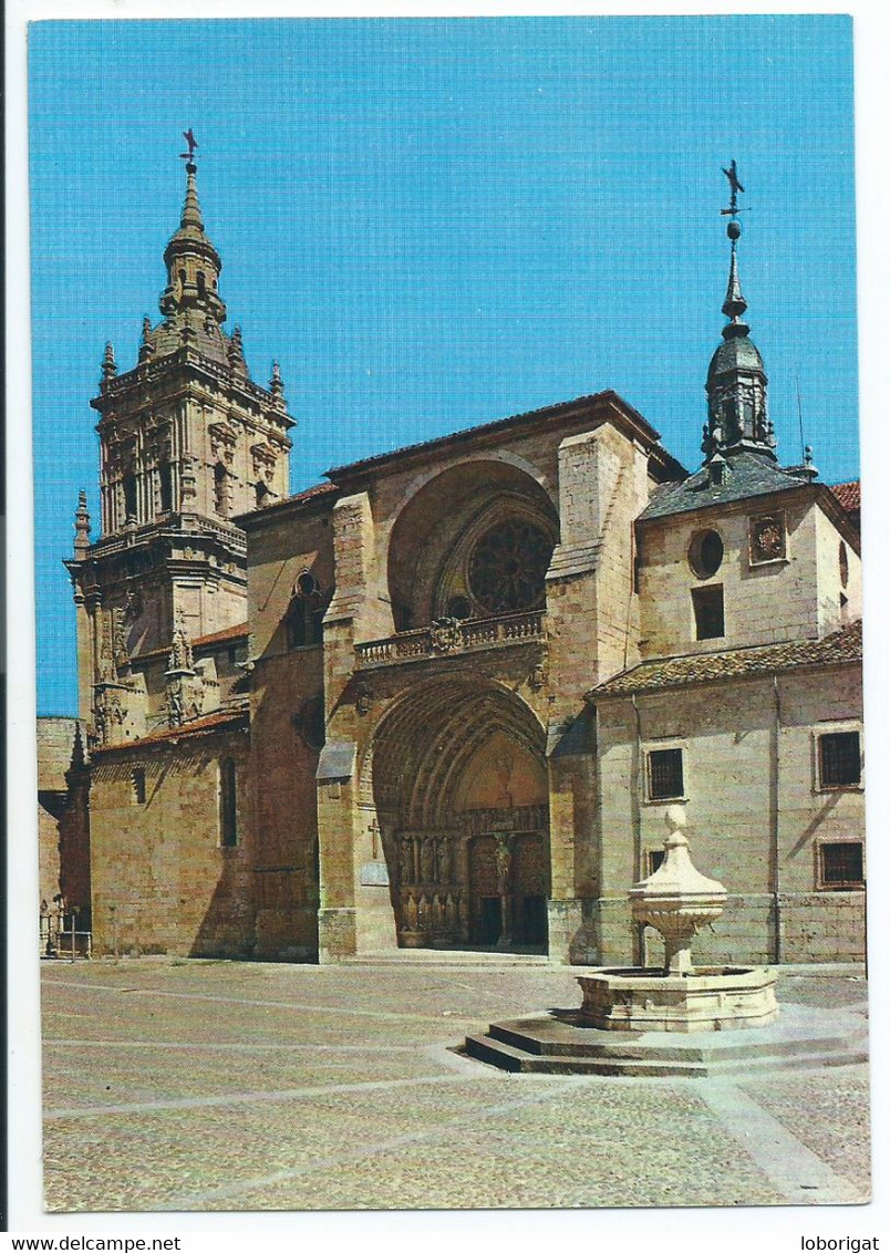 CATEDRAL / CATHÉDRALE / CATHEDRAL.-   BURGO DE OSMA / SORIA.- ( ESPAÑA ) - Soria