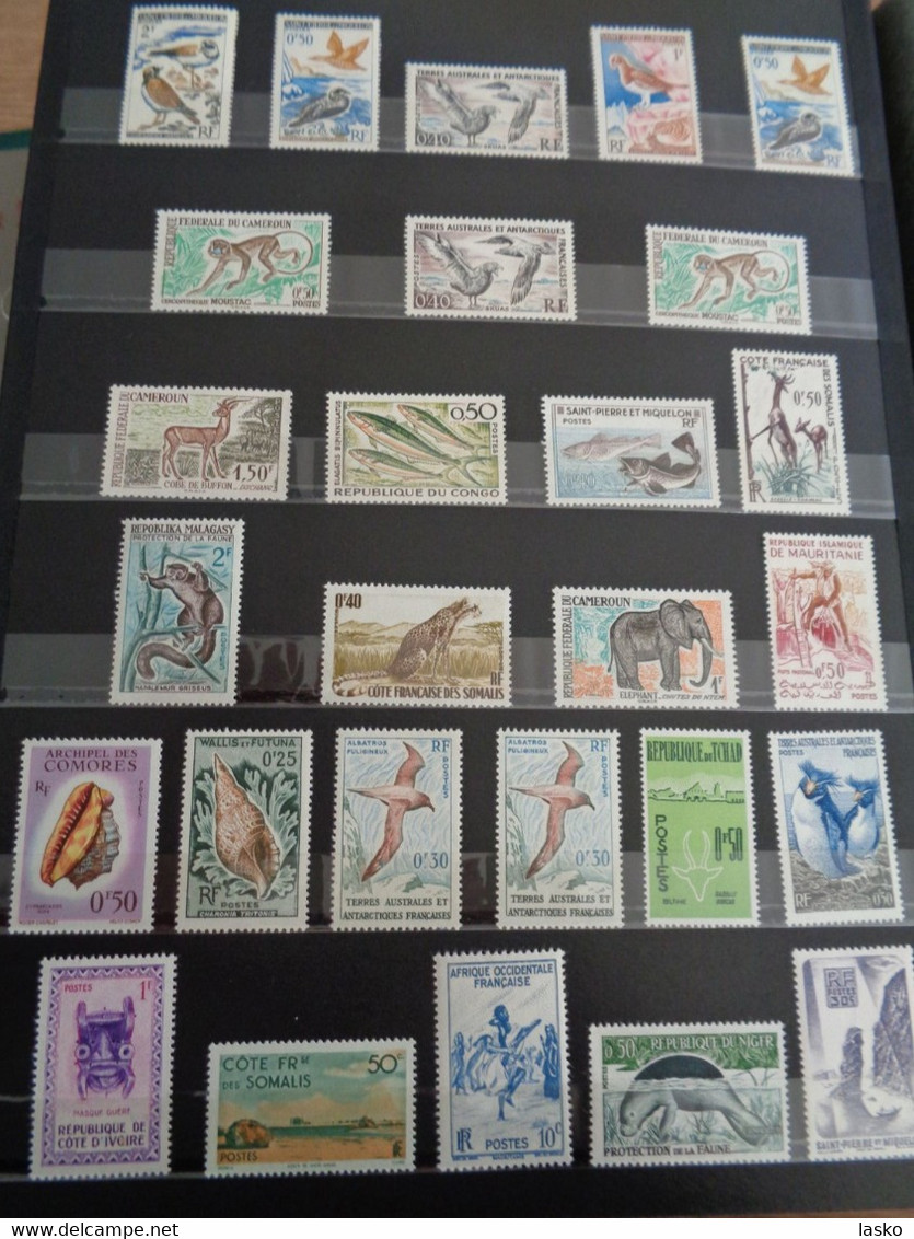 ALBUM TIMBRES FRANCE - VATICAN - PALESTINE - PAYS BAS - ALLEMAGNE - MONACO - TUNISIE - ALGERIE - oblitérés ou non