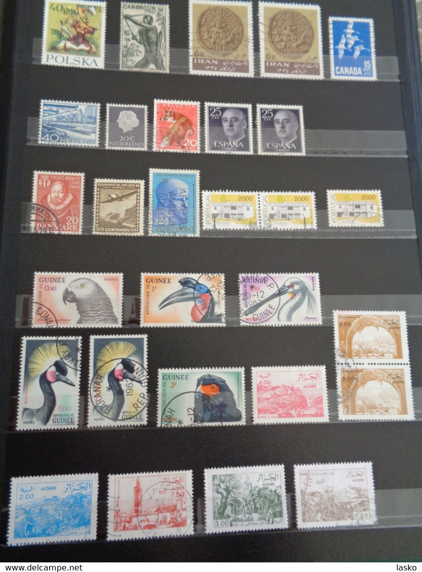 ALBUM TIMBRES FRANCE - VATICAN - PALESTINE - PAYS BAS - ALLEMAGNE - MONACO - TUNISIE - ALGERIE - oblitérés ou non