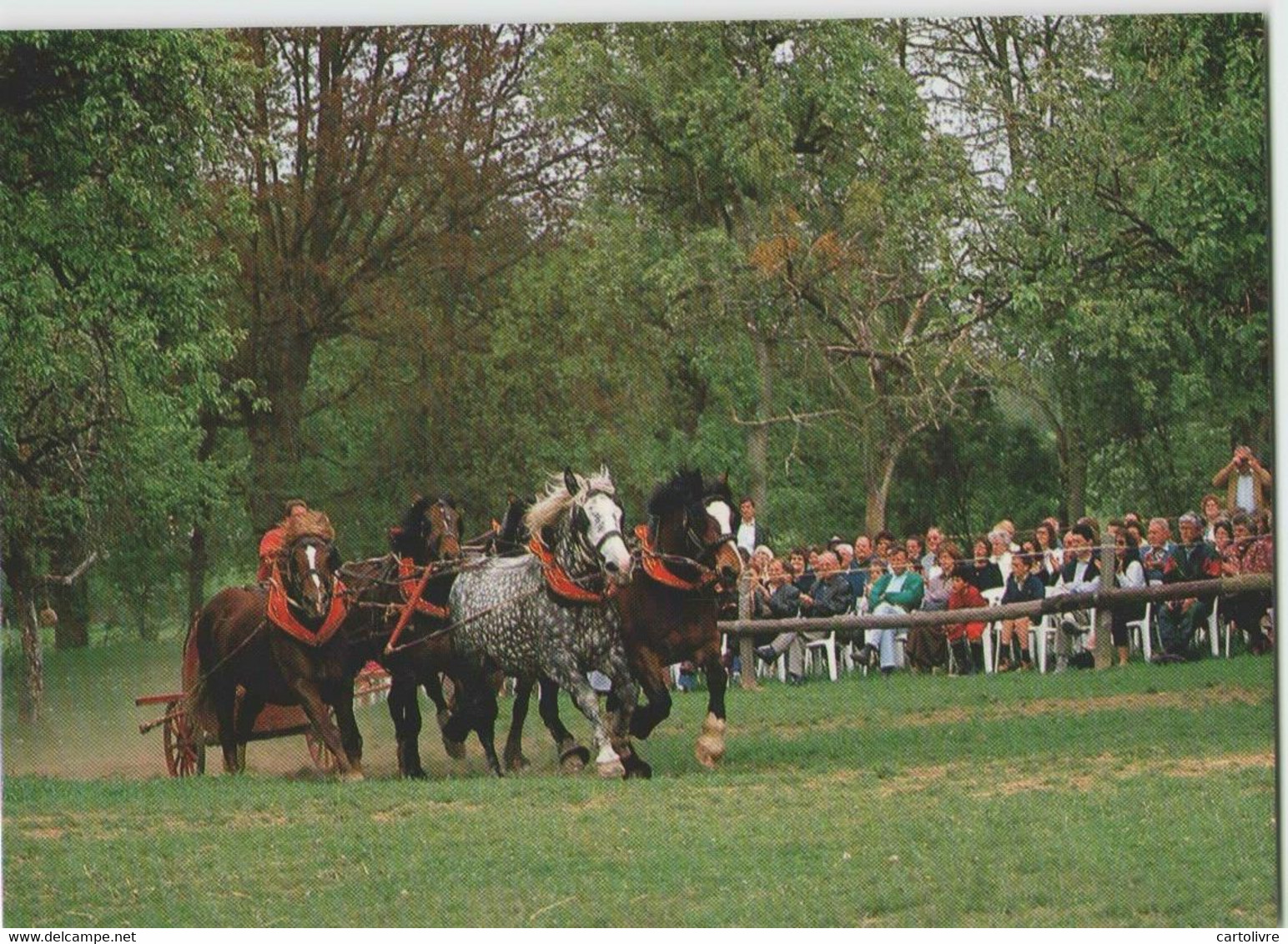 61 JUVIGNY SOUS ANDAINE ... Ferme Du Cheval De Trait, La Michaudière (Publi & Carte) Attelage - Juvigny Sous Andaine