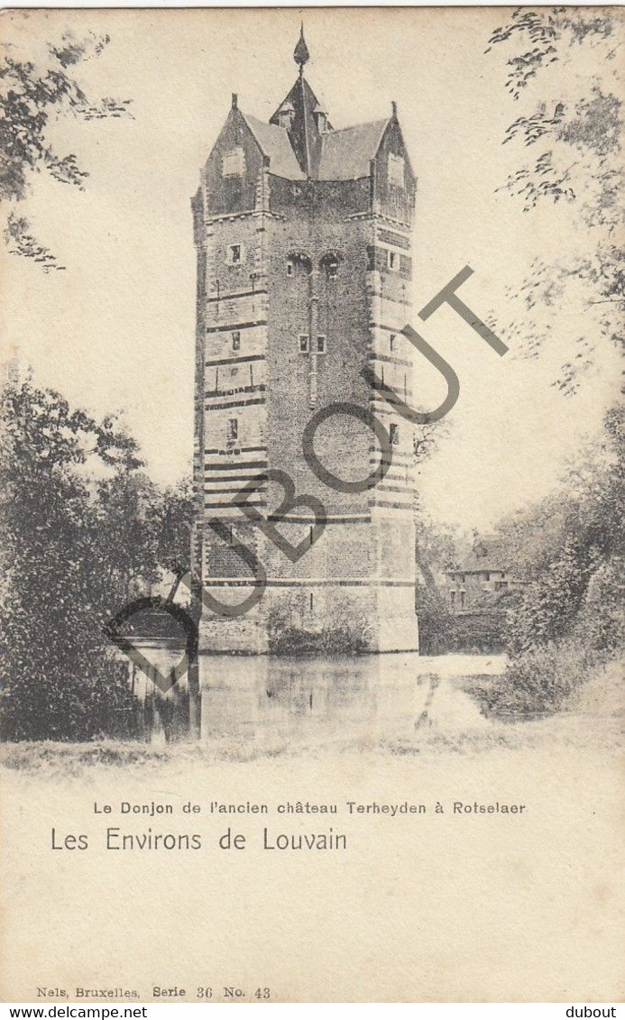 Postkaart-Carte Postale ROTSELAAR/Louvain - Le Donjon De L'ancien Château Terheyden (C2362) - Rotselaar