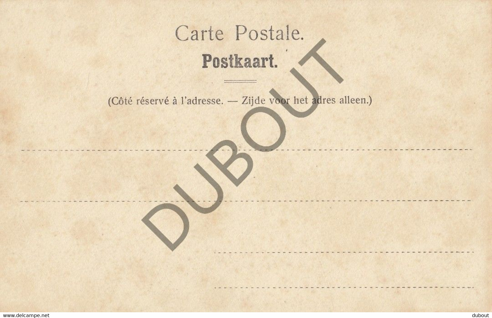 Postkaart-Carte Postale ROTSELAAR/Louvain - Le Donjon De L'ancien Château Terheyden (C2362) - Rotselaar