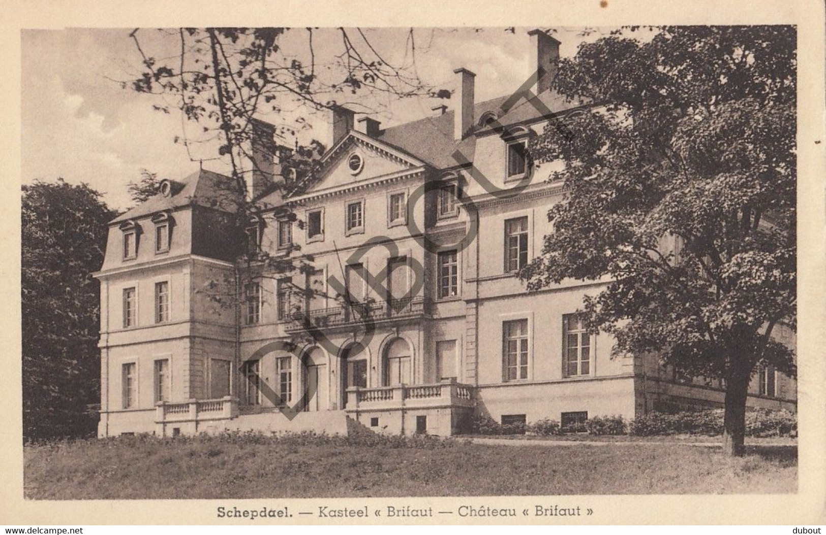 Postkaart-Carte Postale - SCHEPDAAL - Kasteel Brifaut (C2295) - Dilbeek