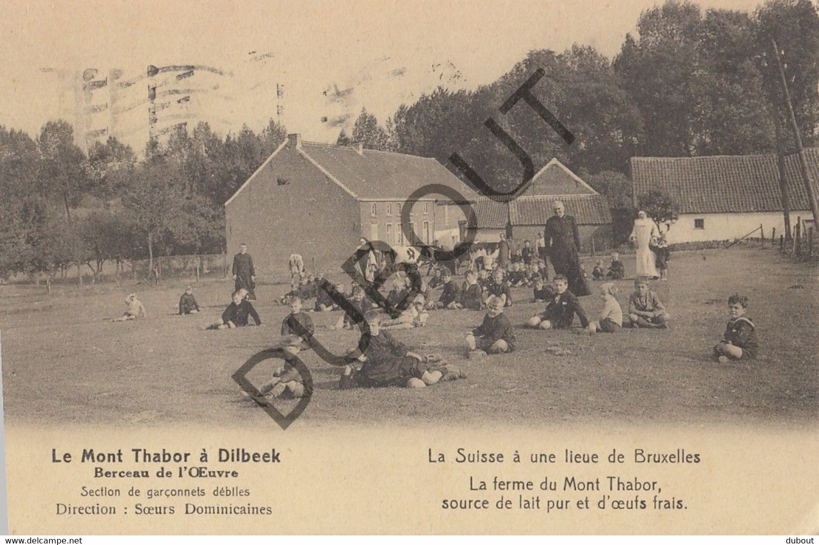 Postkaart-Carte Postale - DILBEEK - Le Mont Thabor (C2308) - Dilbeek