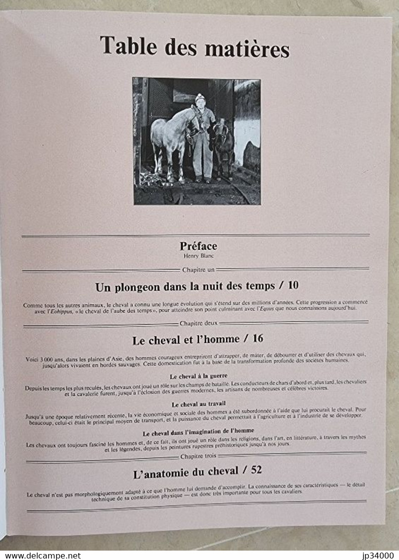 La Grande Encyclopédie Du Cheval. Editions Bordas. Très Bon état - Enciclopedie