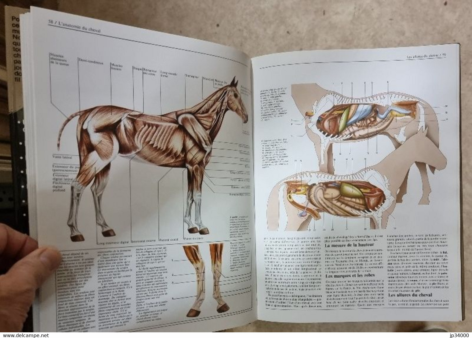 La grande encyclopédie du cheval. Editions Bordas. Très bon état