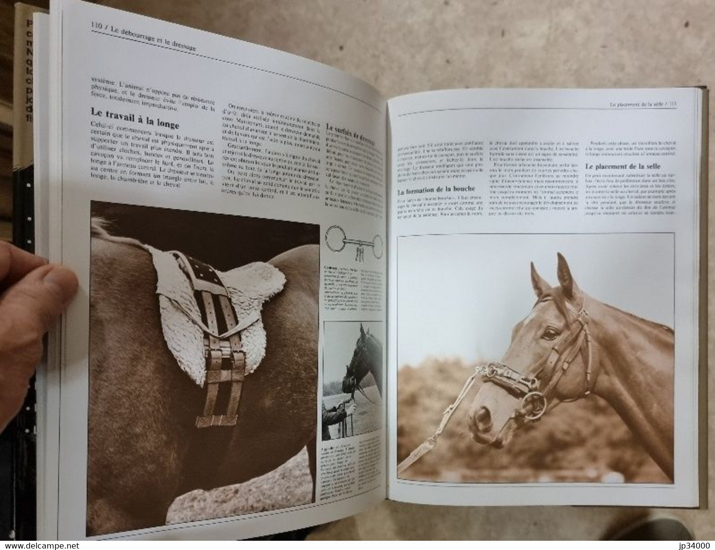 La grande encyclopédie du cheval. Editions Bordas. Très bon état