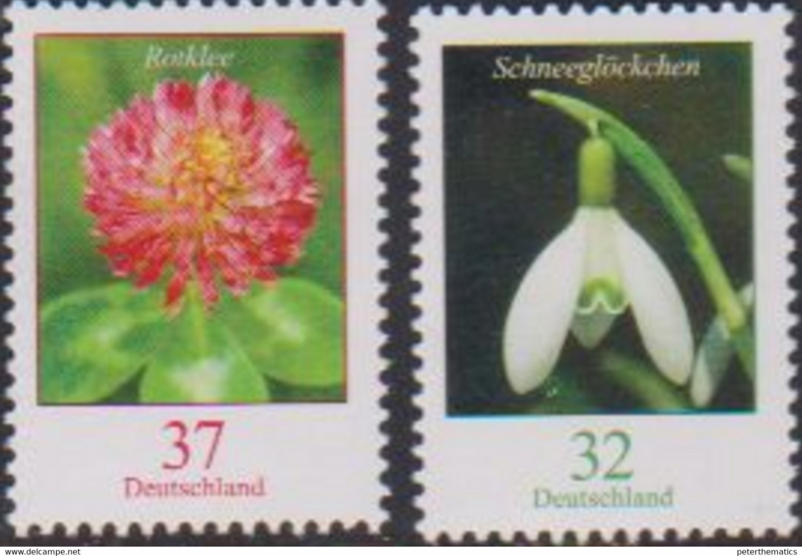 GERMANY, 2022, MNH,FLOWERS, DEFINITIVES,2v - Other & Unclassified