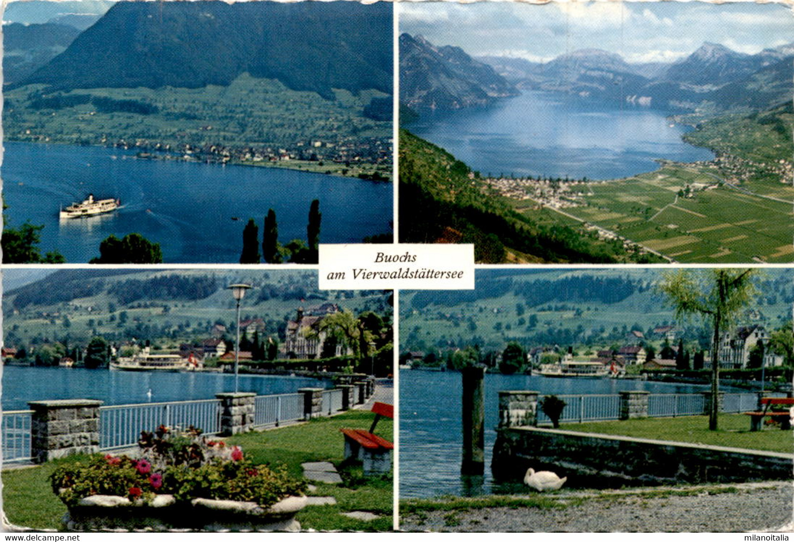 Buochs Am Vierwaldstättersee - 4 Bilder (4907) * 29. 6. 1967 - Buochs