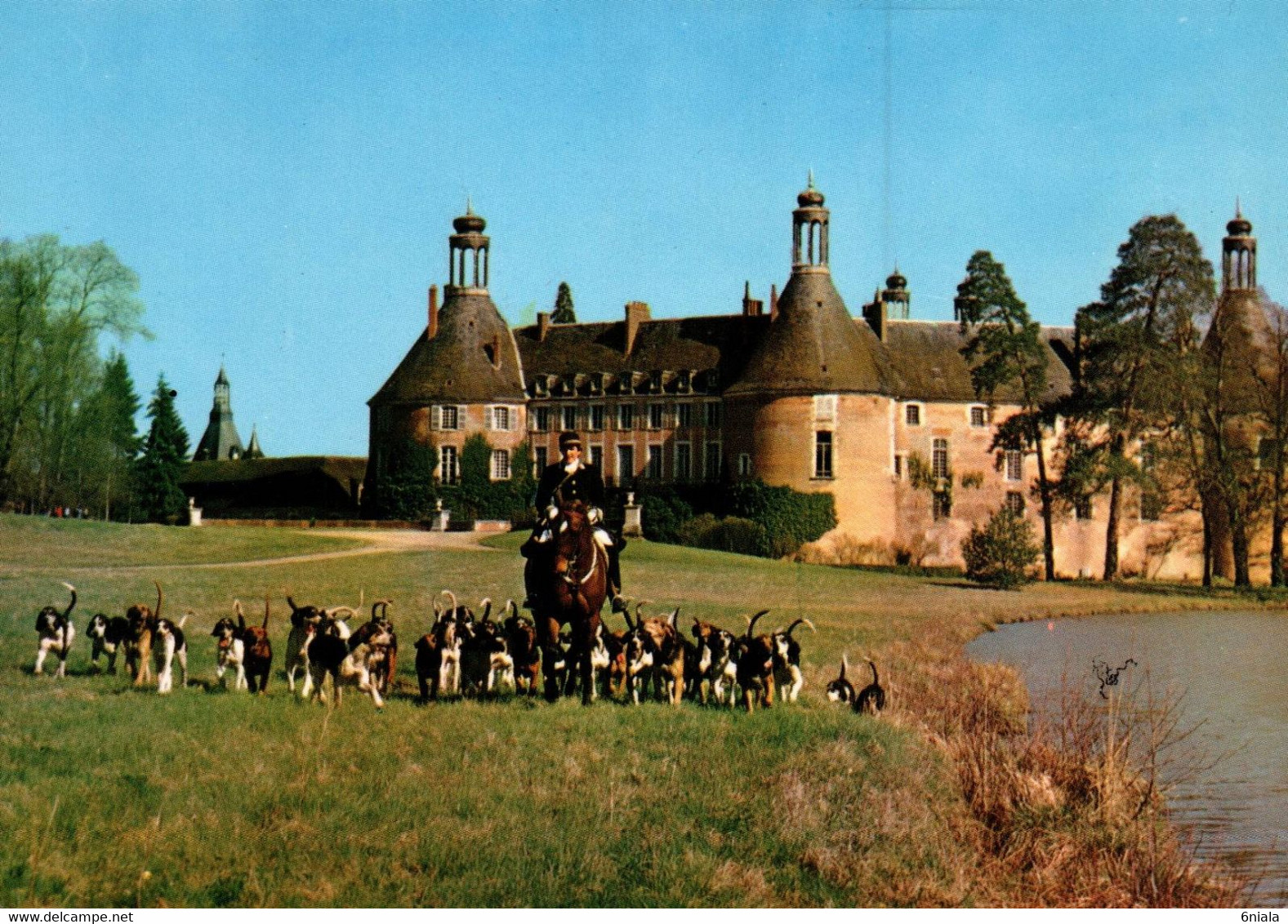 9481 Château De ST FARGEAU (meute De Chien De Chasse à Courre ,  Cheval, Cavalier)     ( Recto-verso) 89 Yonne - Saint Fargeau