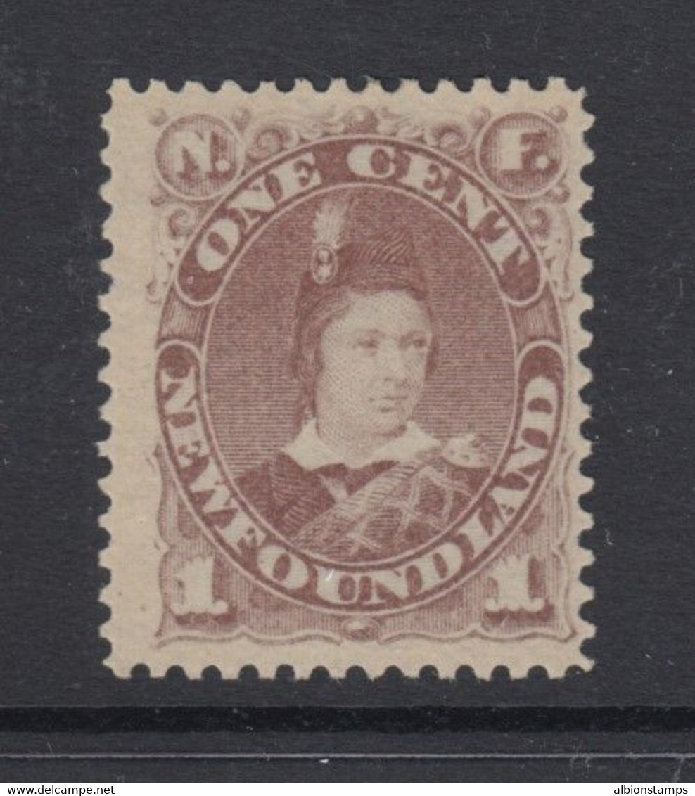 Newfoundland, Scott 41 (SG 44), MLH - 1857-1861