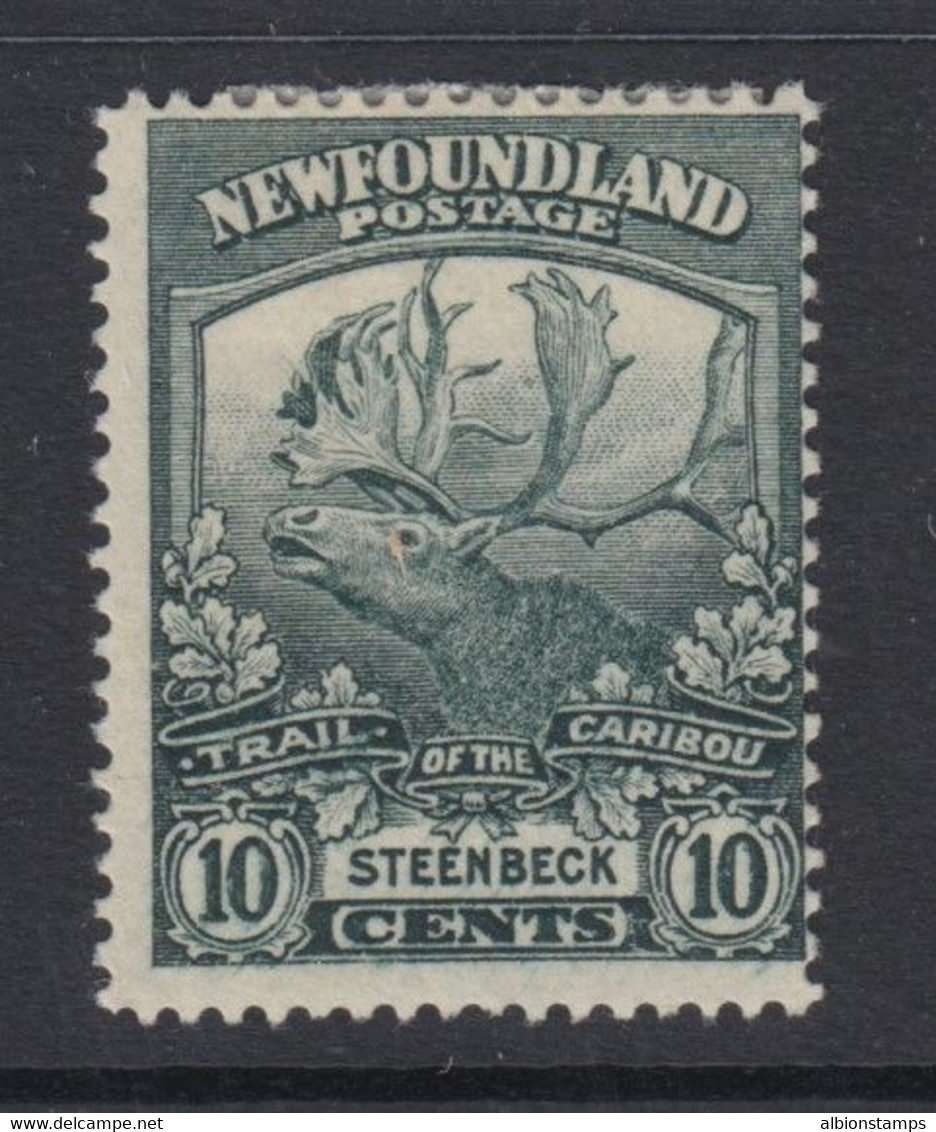 Newfoundland, Scott 122 (SG 137), MHR - 1857-1861