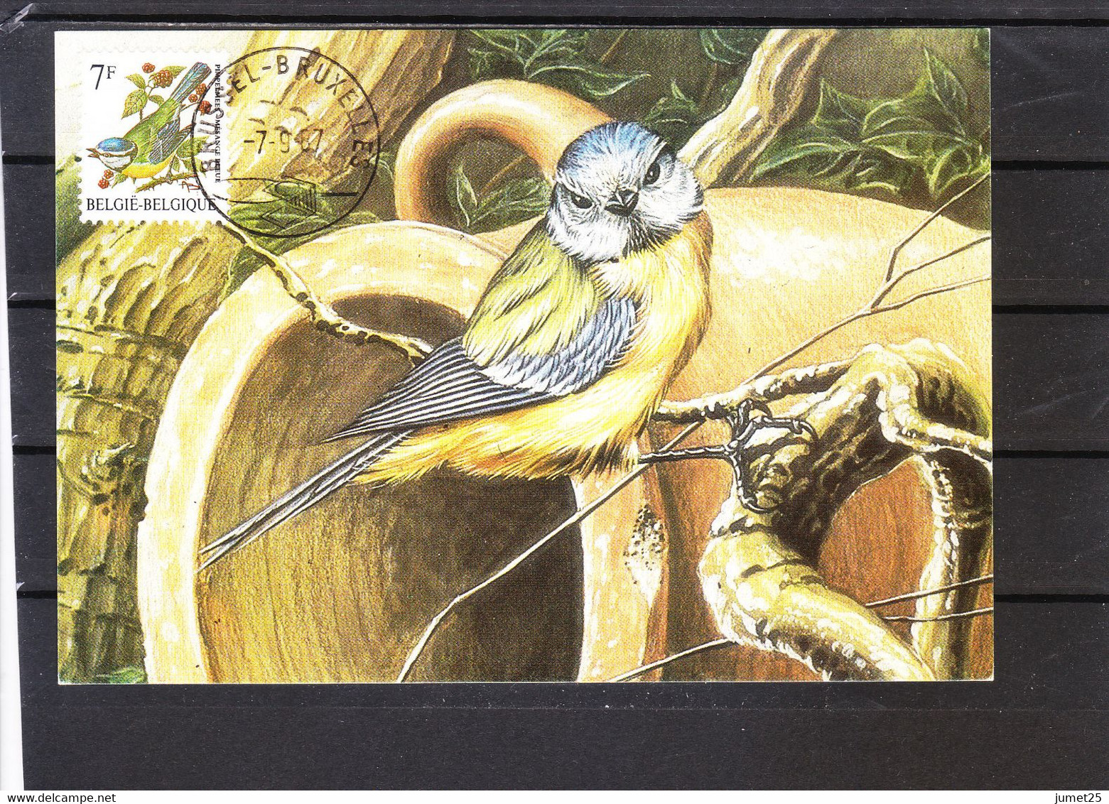 2261  Buzin - Carte MB - Mésange Bleue - 1985-.. Vögel (Buzin)