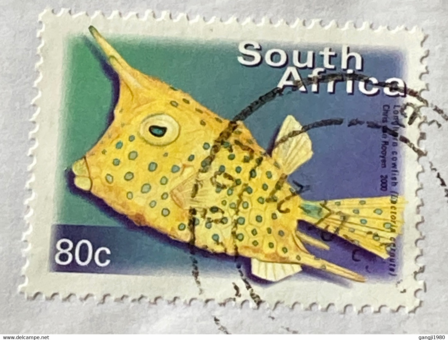 SOUTH AFRICA,2009,AIRMAIL USED COVER TO INDIA,3 STAMPS,STAMP ON STAMP,FISH,CHITAH ANIMAL. - Cartas & Documentos