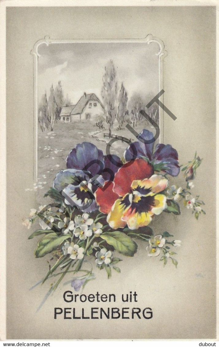 Postkaart-Carte Postale - PELLENBERG - Groeten Uit  (C2382) - Lubbeek