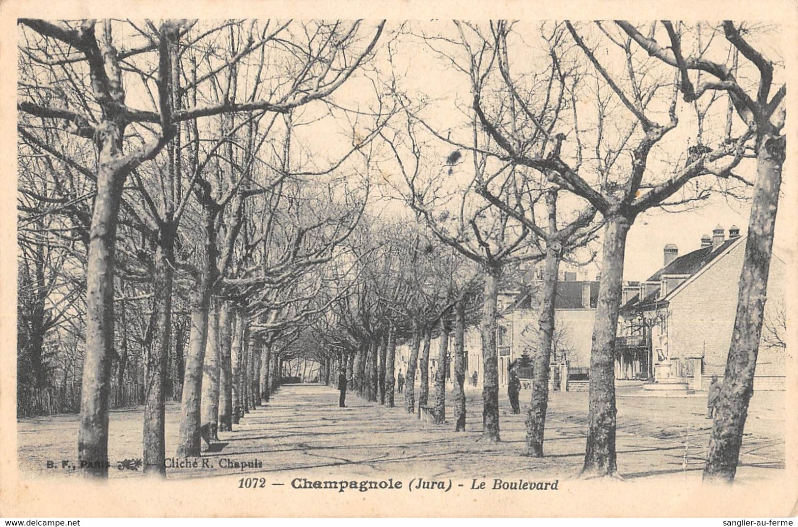 CPA 39 CHAMPAGNOLE LE BOULEVARD - Other & Unclassified