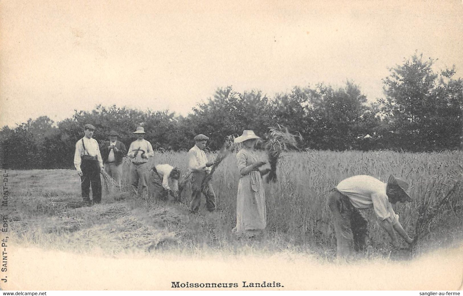 CPA 40 MOISSONNEURS LANDAIS - Sonstige & Ohne Zuordnung