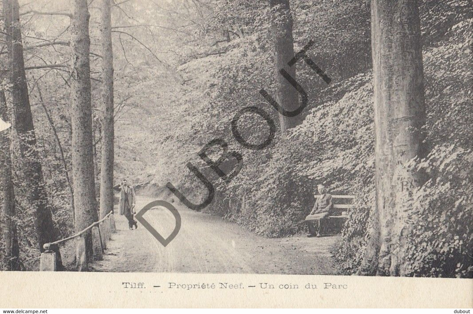 Postkaart-Carte Postale - TILFF - Propriété Neef  (C2220) - Esneux