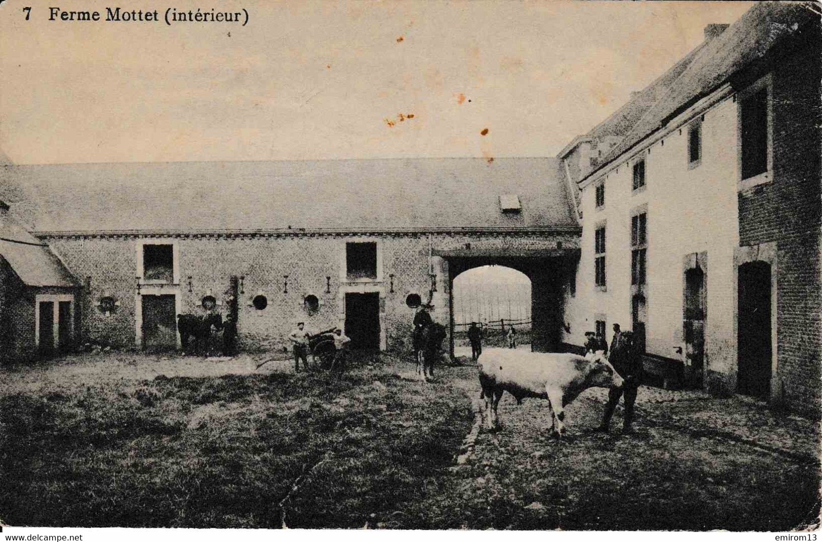 Braives Ferme Mottet Intérieur Vache Chevaux 7. Édit Laflotte - Braives