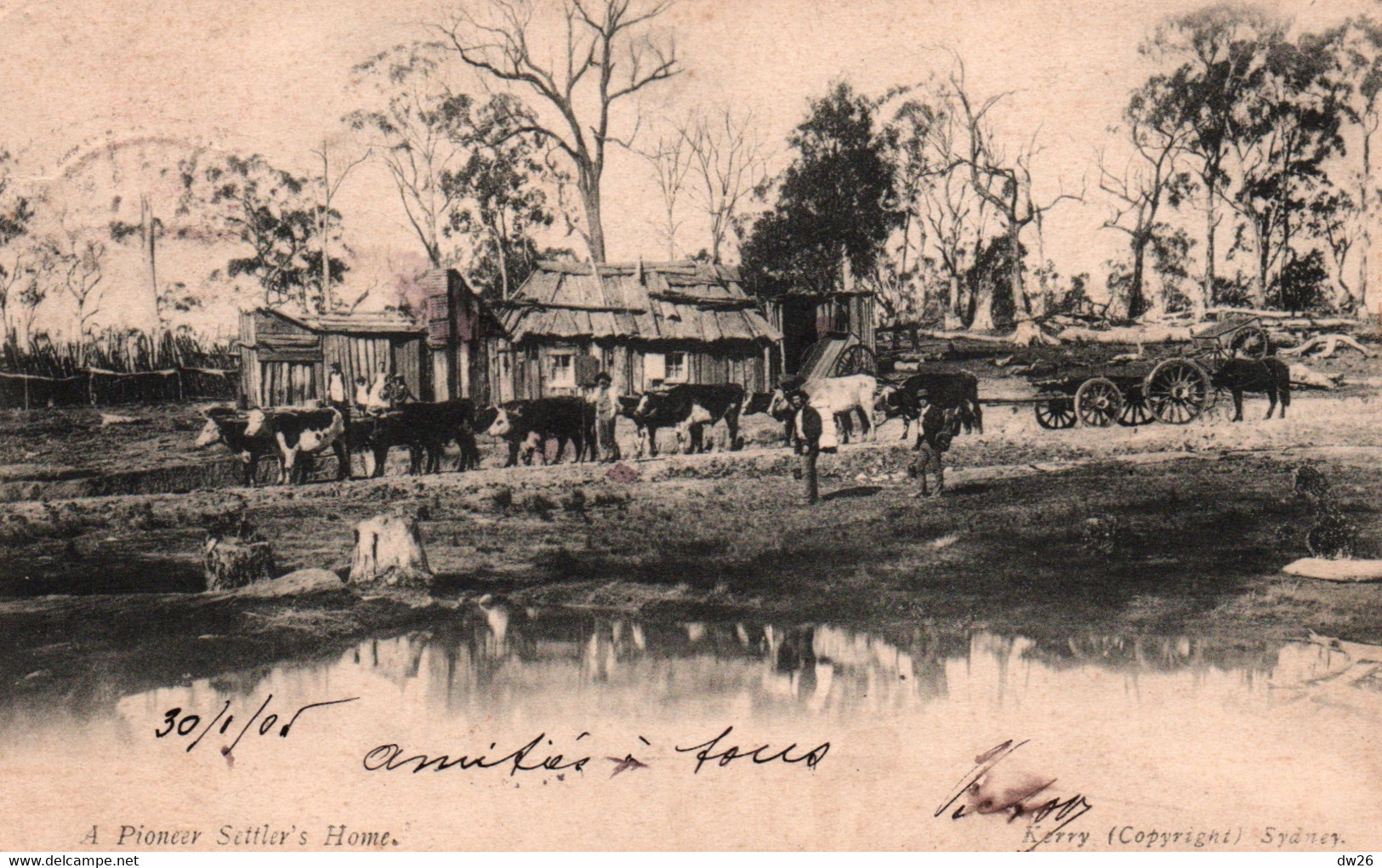 Australie - A Pioneer Settler's Home (cabanon De Colon Australien) Troupeau De Vaches - Postcard By Kerry, Sydney - Autres & Non Classés