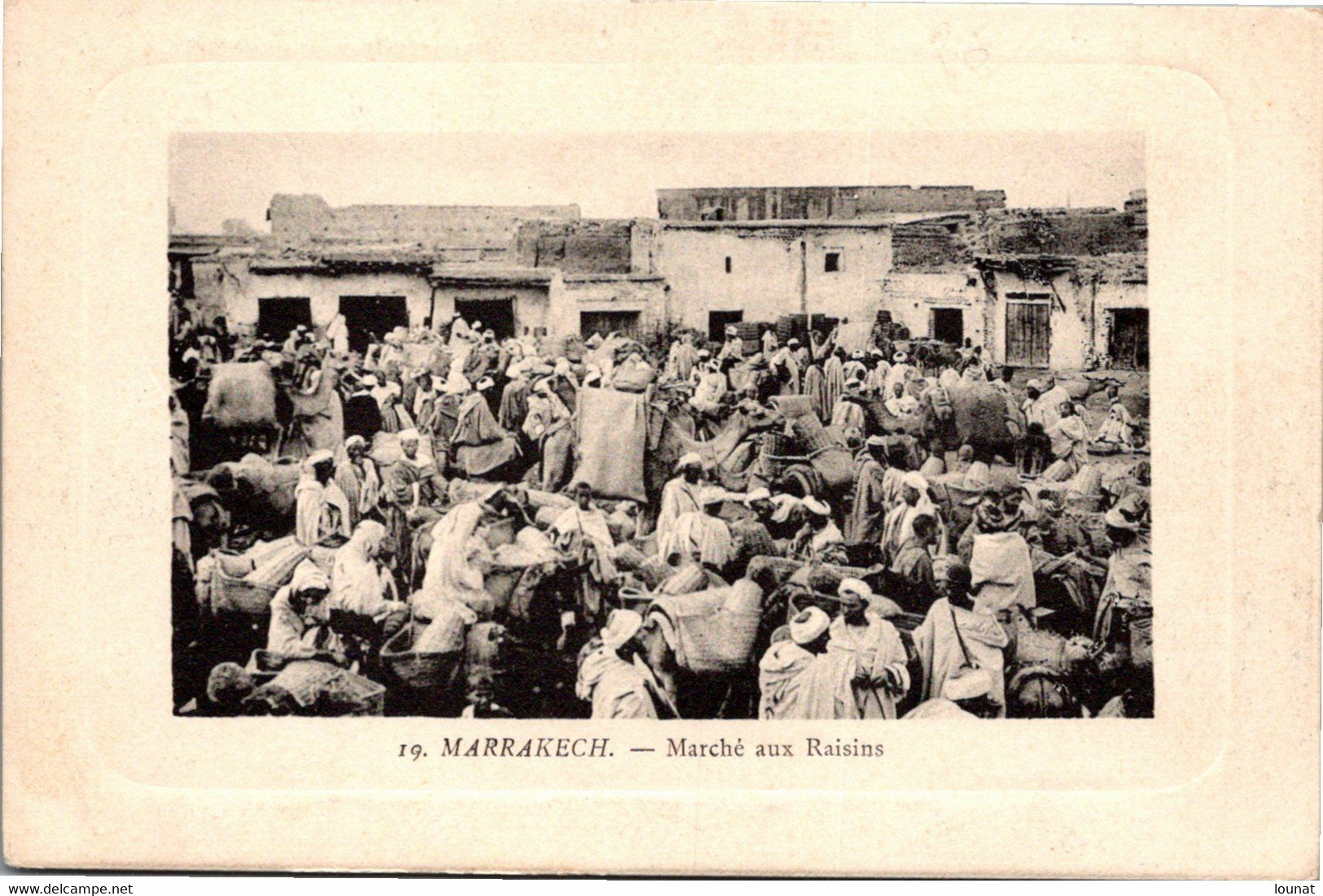 MARRAKECH - Maroc - Marché Aux Raisins - Marrakech