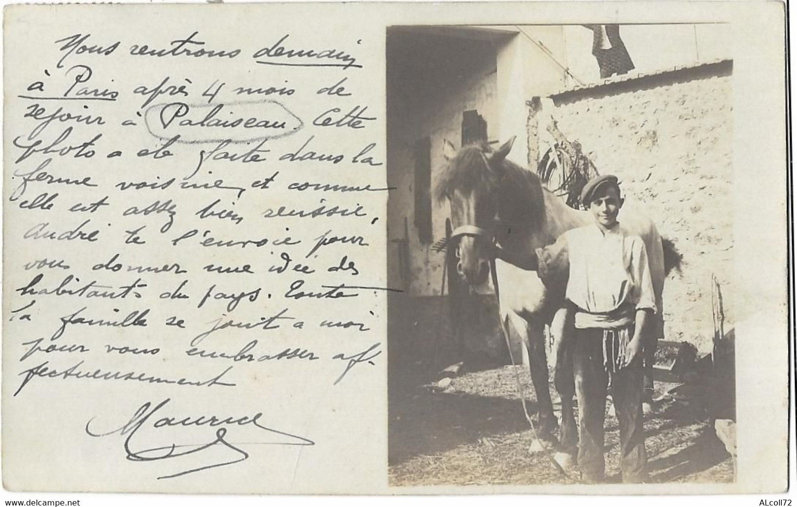 CARTE-PHOTO Prise Dans Ferme De PALAISEAU: Jeune Homme Avec Cheval - Palaiseau