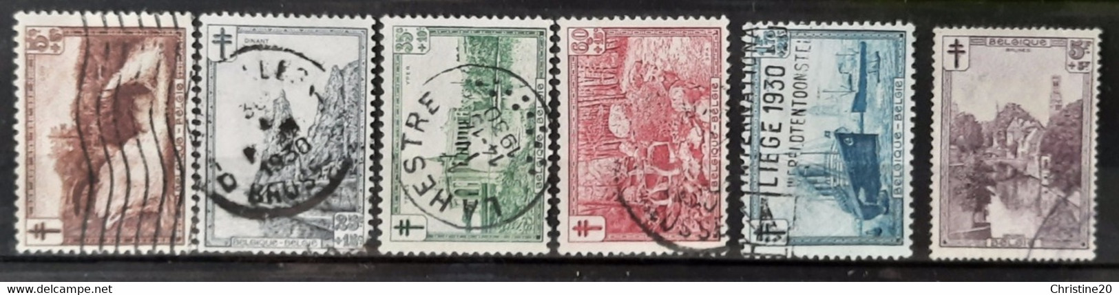 Belgique 1929  N°293/98 Ob  TB  Cote 45€ - 1929-1941 Grand Montenez