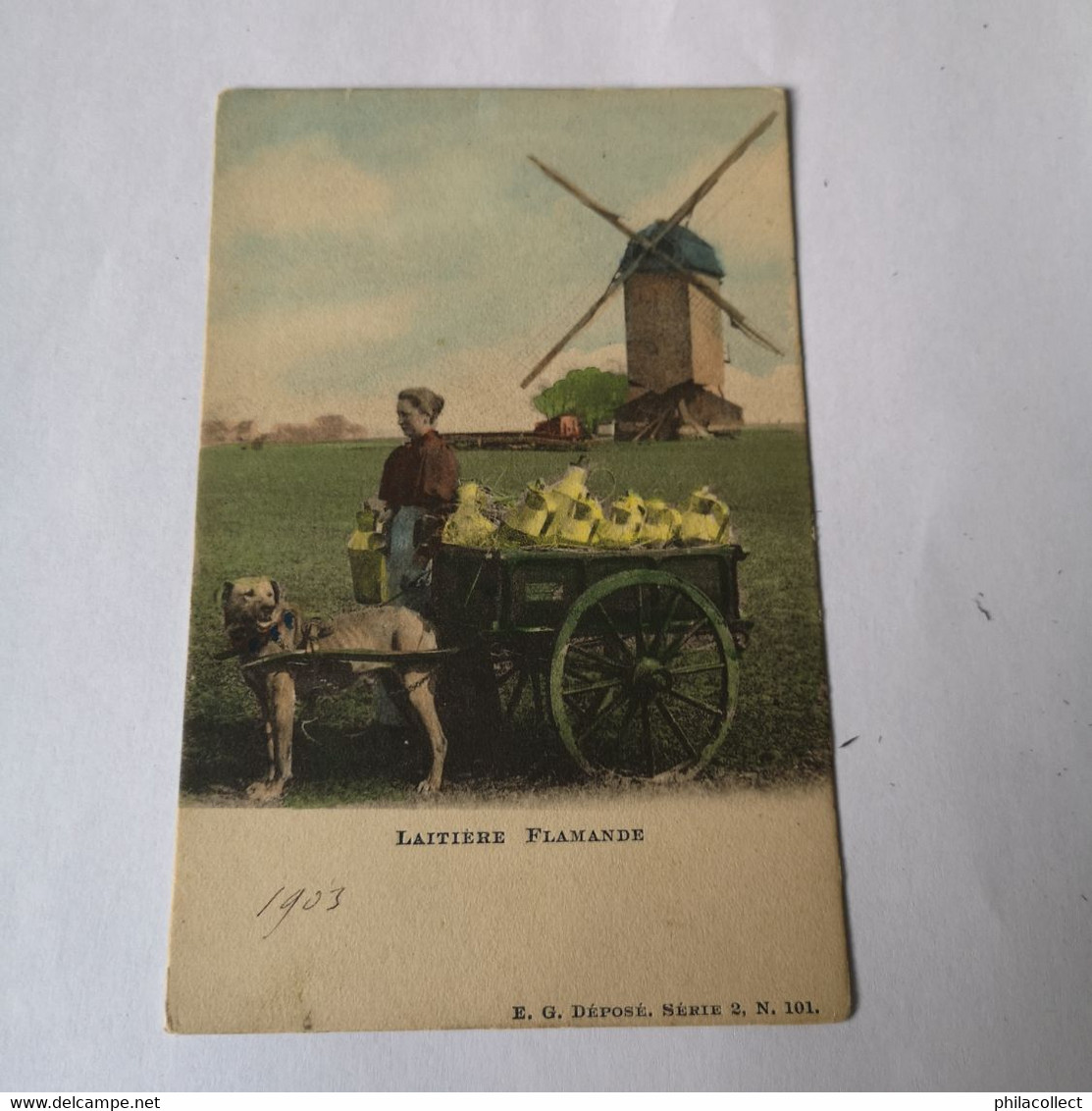 Belgie - Belgique / Onbekend Waar? // Laitiere Flamande (Attelage Chien - Hondenkar - Moulin - Molen) Kleur! Ca 1900 - Autres & Non Classés