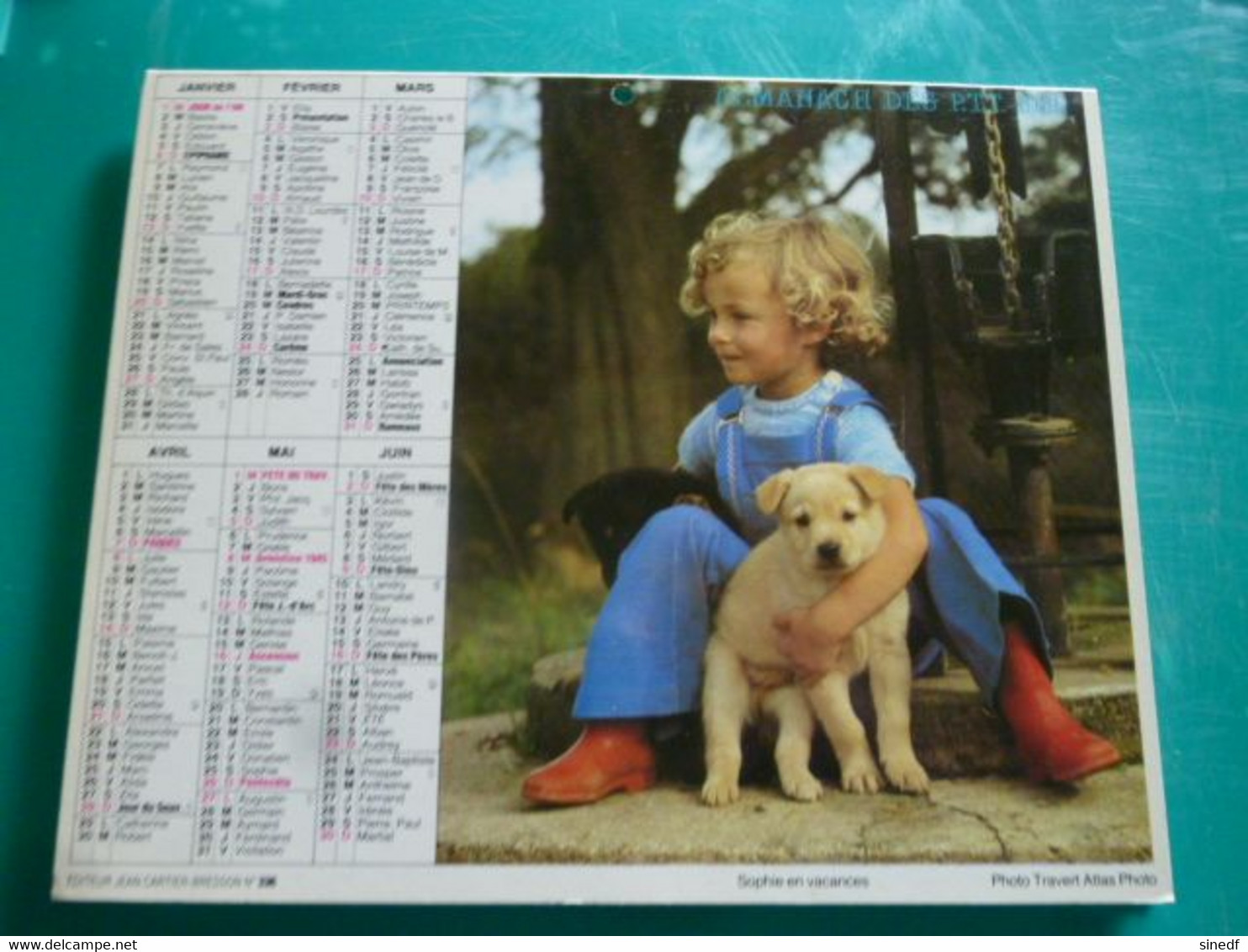 Calendrier 1985  Cartier Bresson Berger Mouton Chiots Almanach Facteur PTT POSTE Département Sarthe - Grand Format : 1981-90