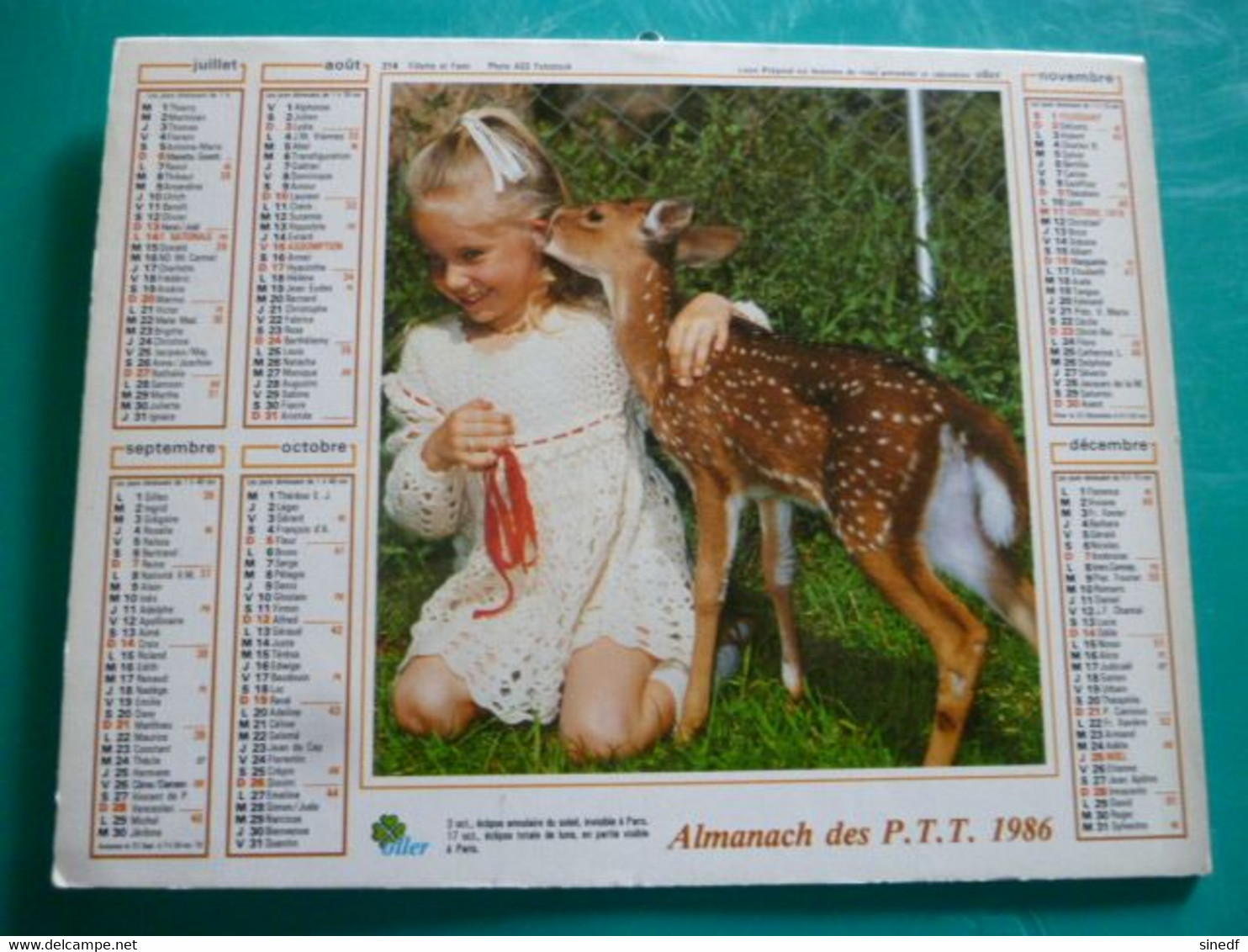 Calendrier 1986 Oller Fille Daim Faon Chien Blanc  Almanach Facteur PTT POSTE Département Sarthe - Grand Format : 1981-90