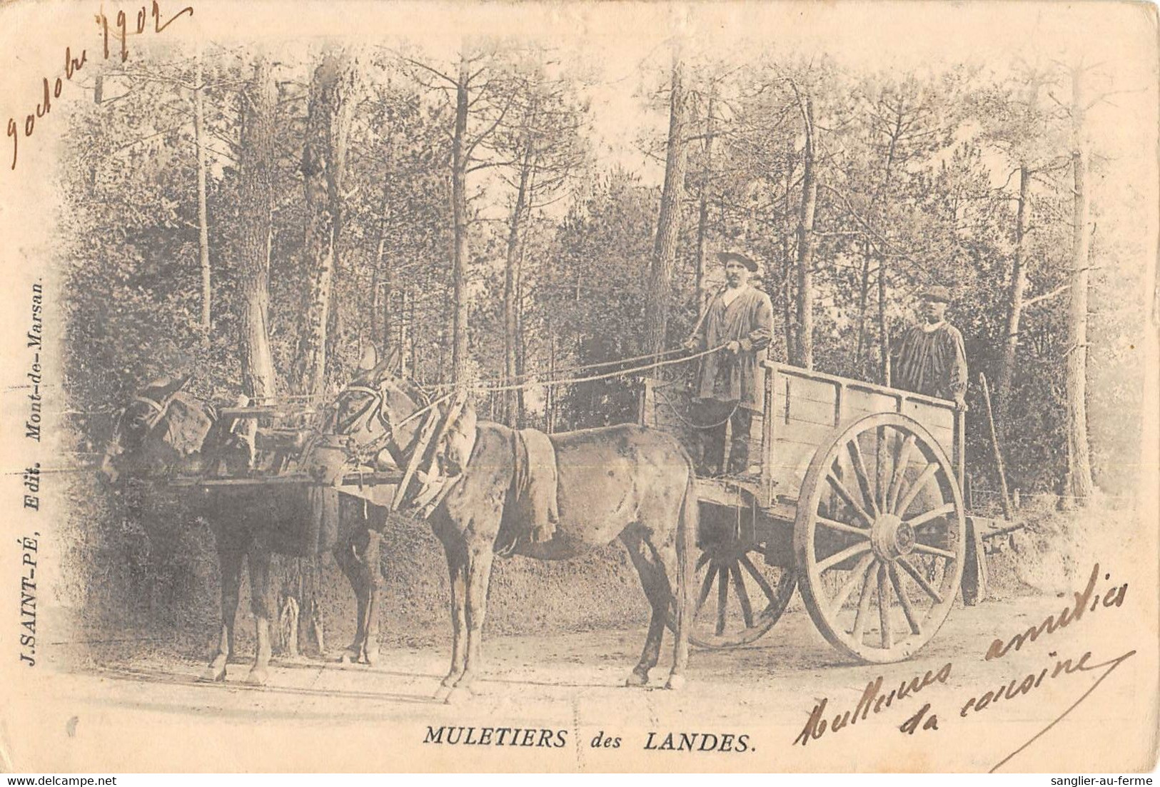 CPA 40 MULETIERS DES LANDES - Other & Unclassified