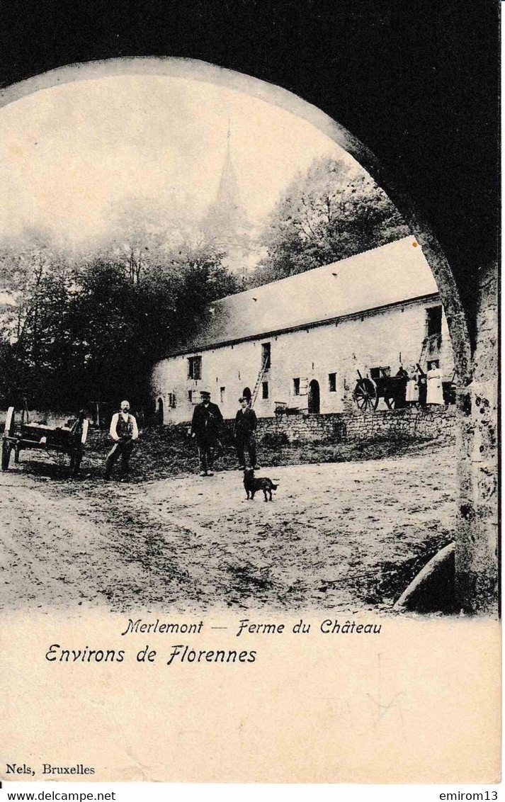 Florennes Merlemont Ferme Du Château Nels Bruxelles - Florennes