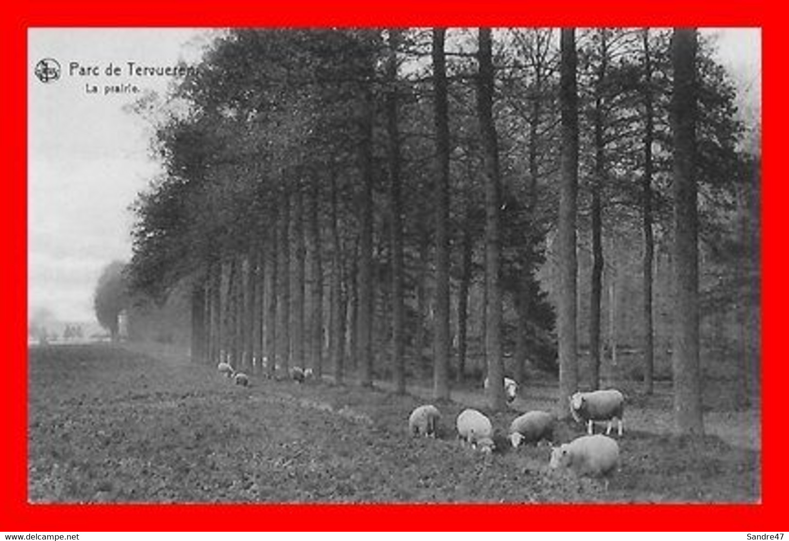 CPA TERVUEREN (Belgique)  Vue Sur Le Parc Et La Prairie, Moutons...N890 - Non Classés