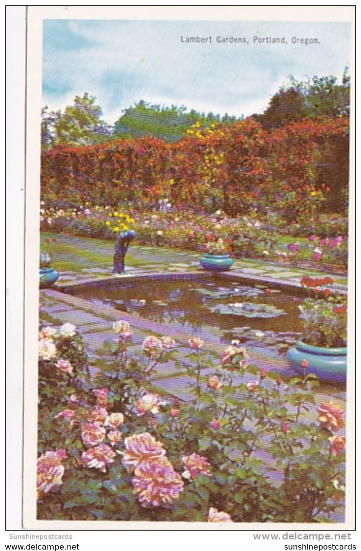Oregon Portland Water Lily Pool And Rose In Lambert Gardens - Portland