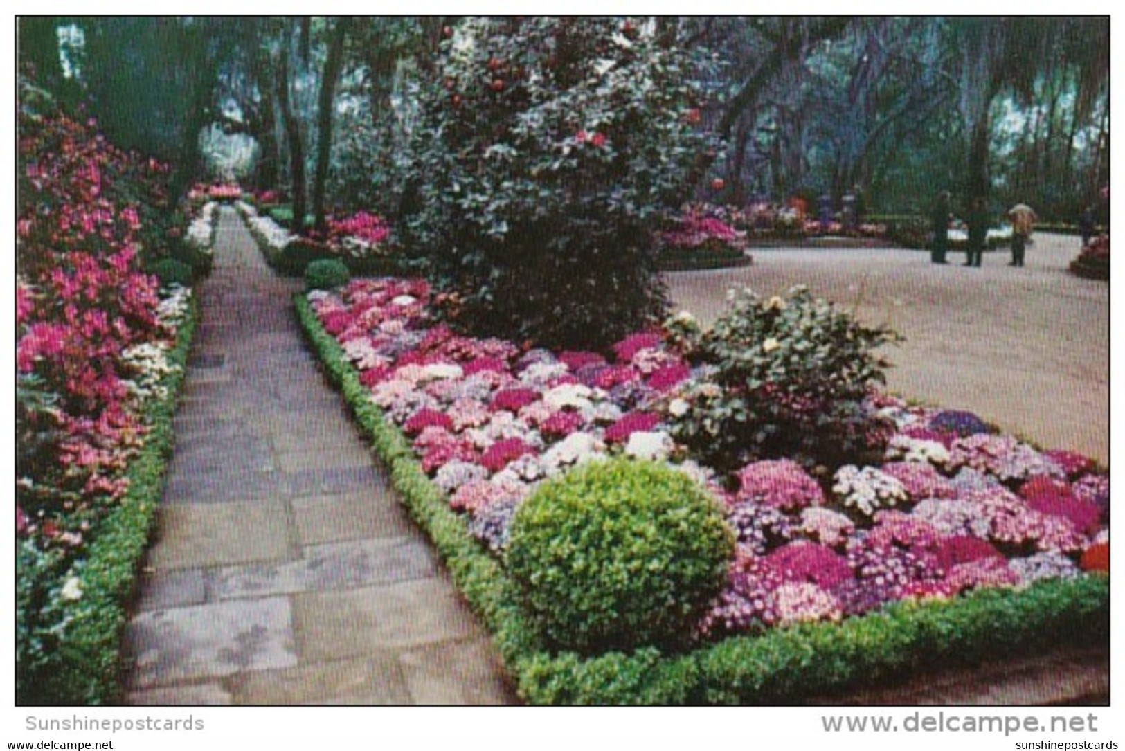 Alabama Mobile Flagstone Walk In Bellingrath Gardens 1959 - Mobile