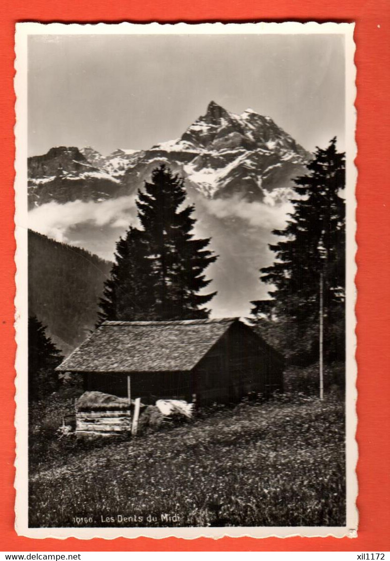 ZMV-15  Chalet D'alpage, Alpes Vaudoises (région Au-dessus De Bex) Avec Cime De L'Est Dents Du Midi   Perrochet 10160 NC - Bex