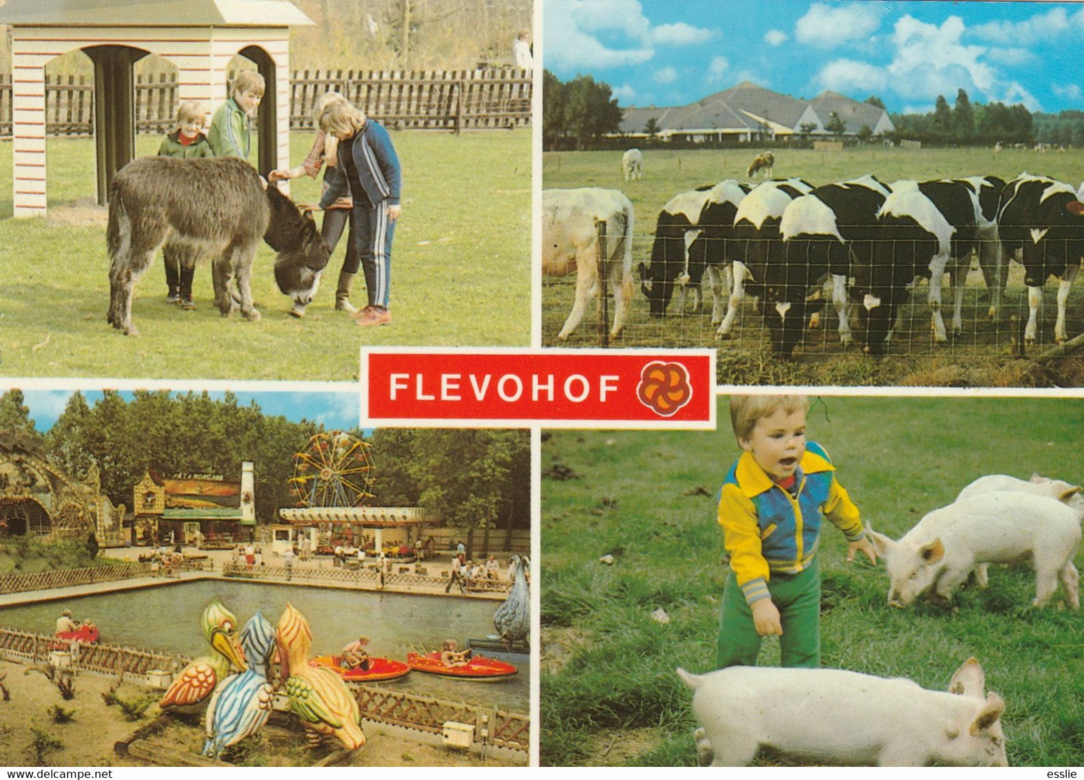 Netherlands Nederland - Flevohof Donkey Pig Cow - Other & Unclassified