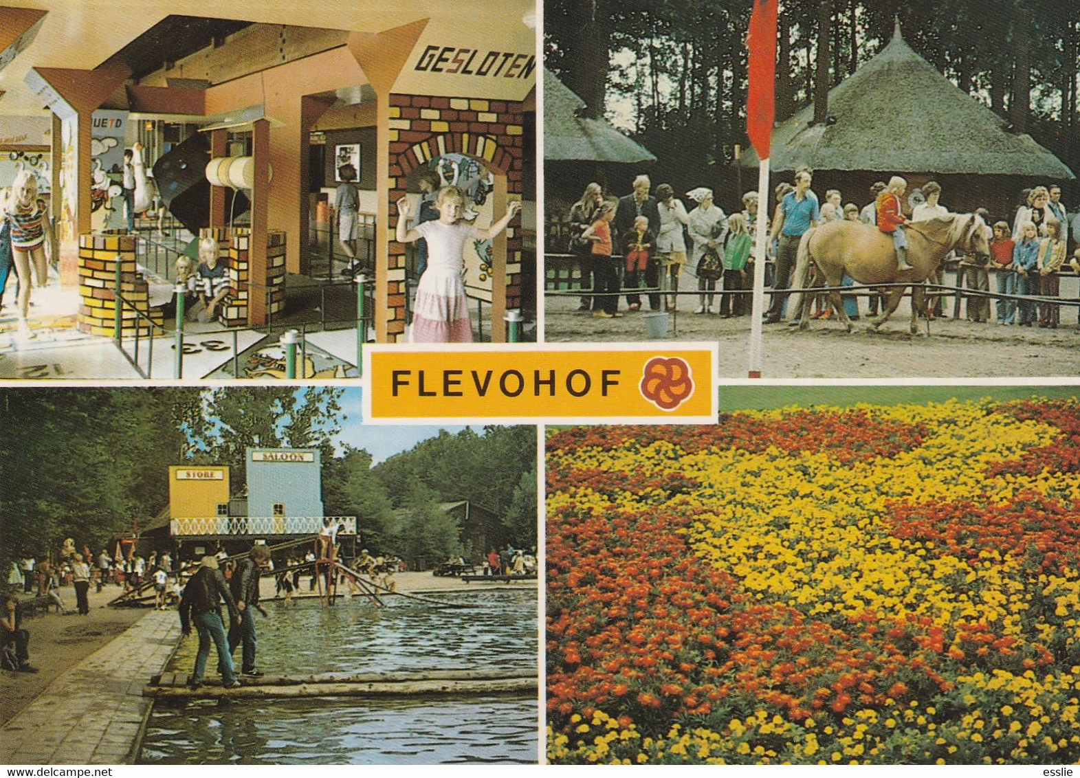 Netherlands Nederland - Flevohof Horses - Andere & Zonder Classificatie