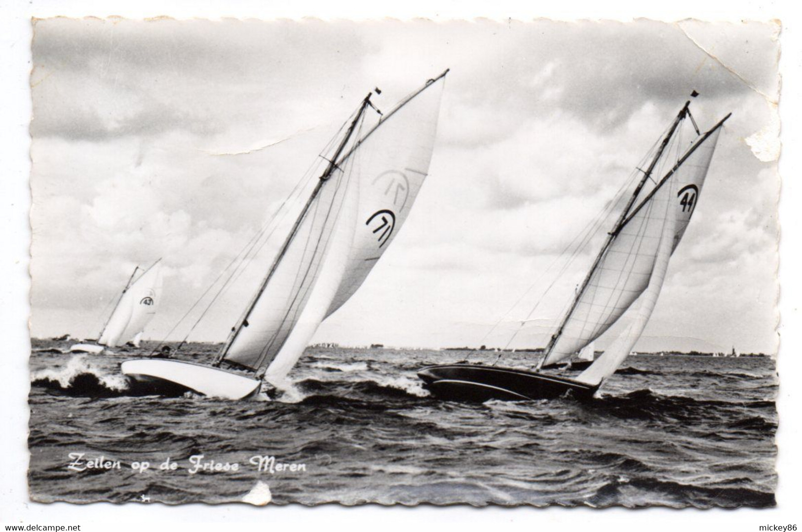 Voile --1968---Régates ...........carte Hollandaise  ....à Saisir - Sailing